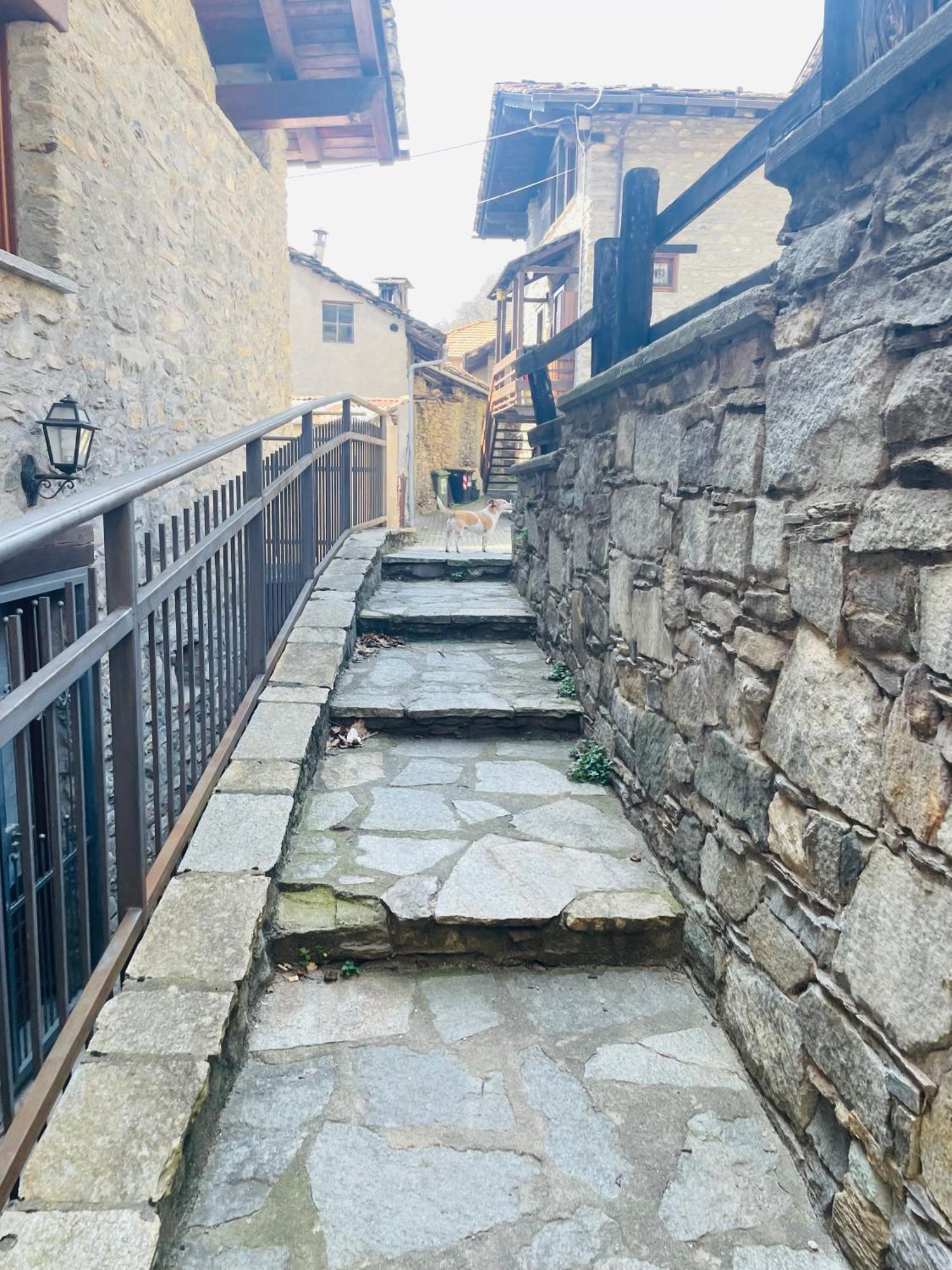 Appartamento A Sarre Con Giardino E Vista Panoramica Aosta